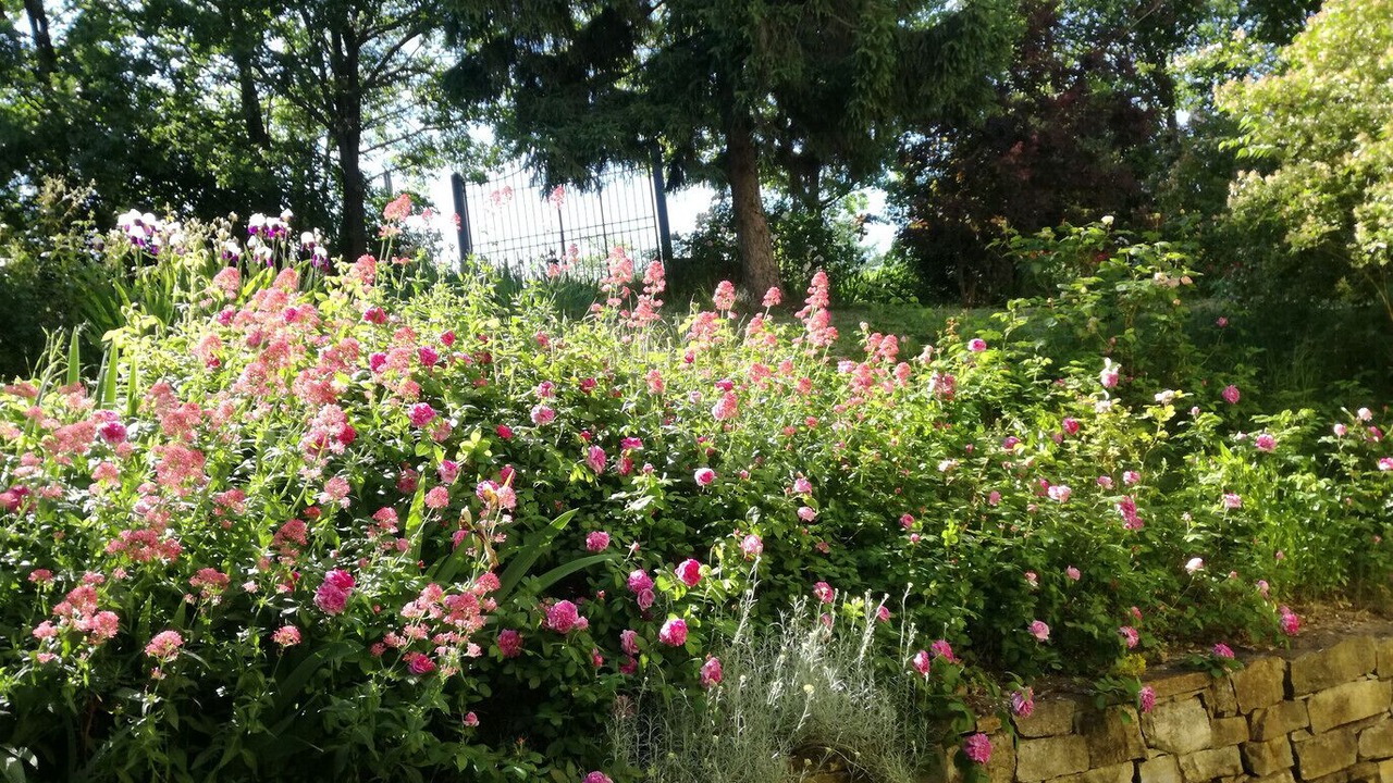 Photo of Outdoor in Casale Monferrato