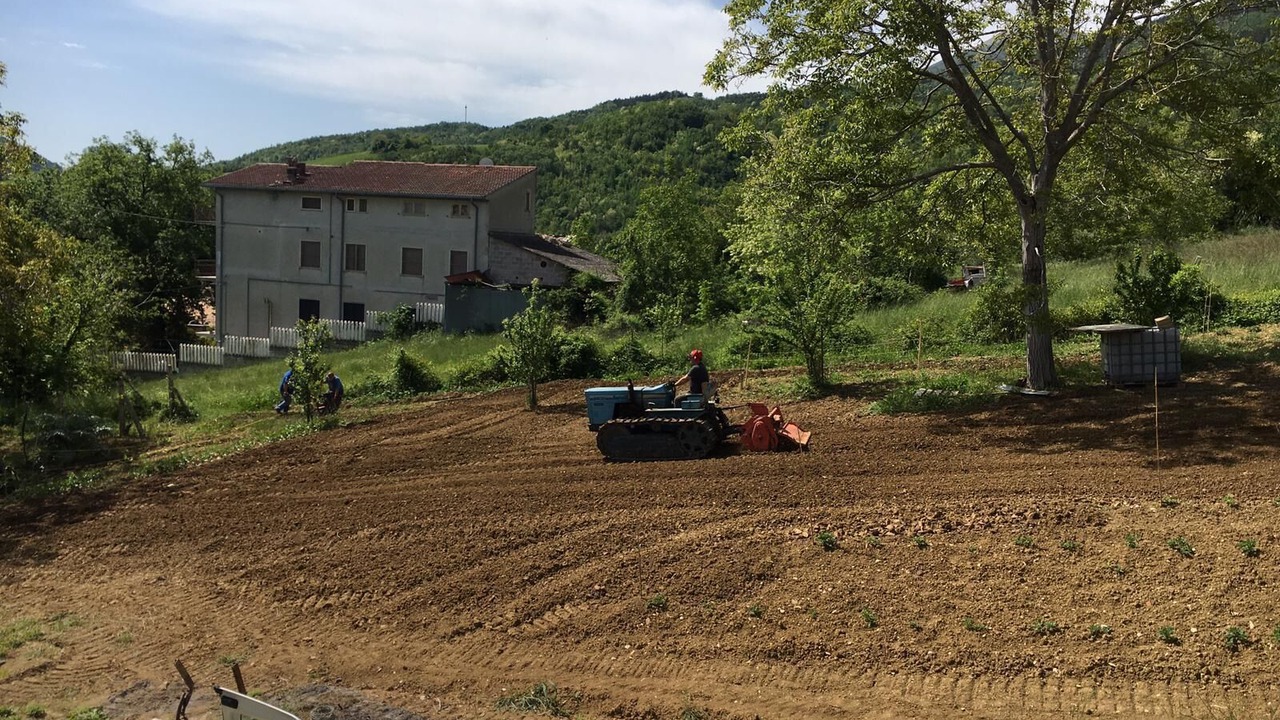 Photo of Outdoor in Lempa