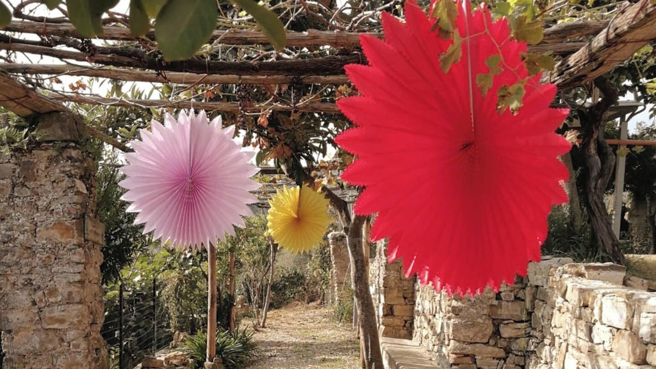 Photo of Outdoor in Ogliastro Cilento