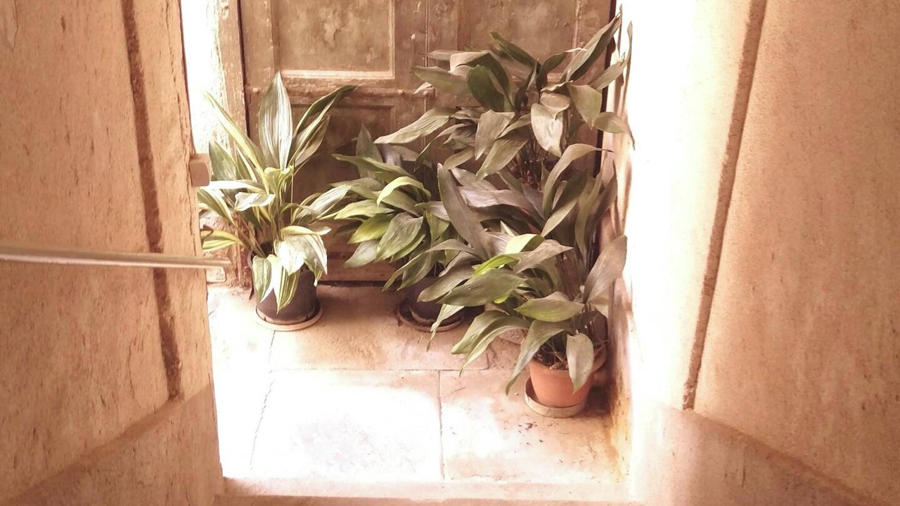 Photo of Others in Ogliastro Cilento