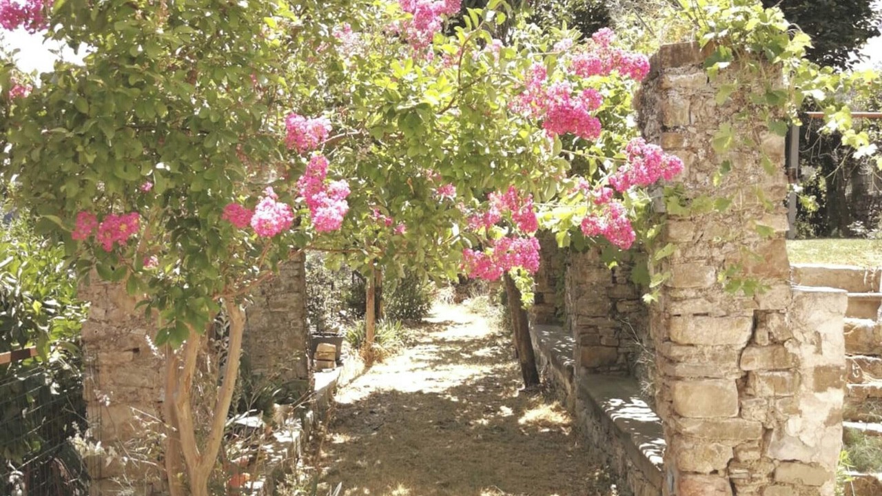 Photo of Outdoor in Ogliastro Cilento