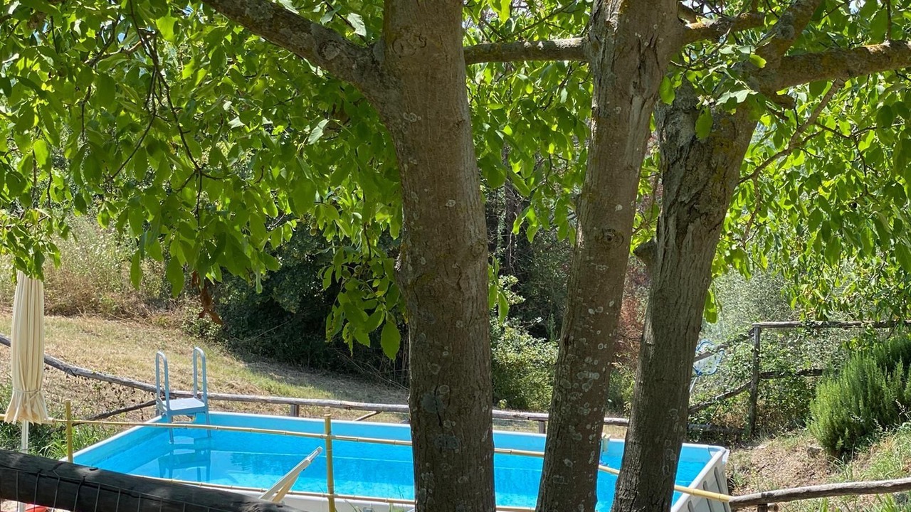 Photo of Outdoor in Pontassieve
