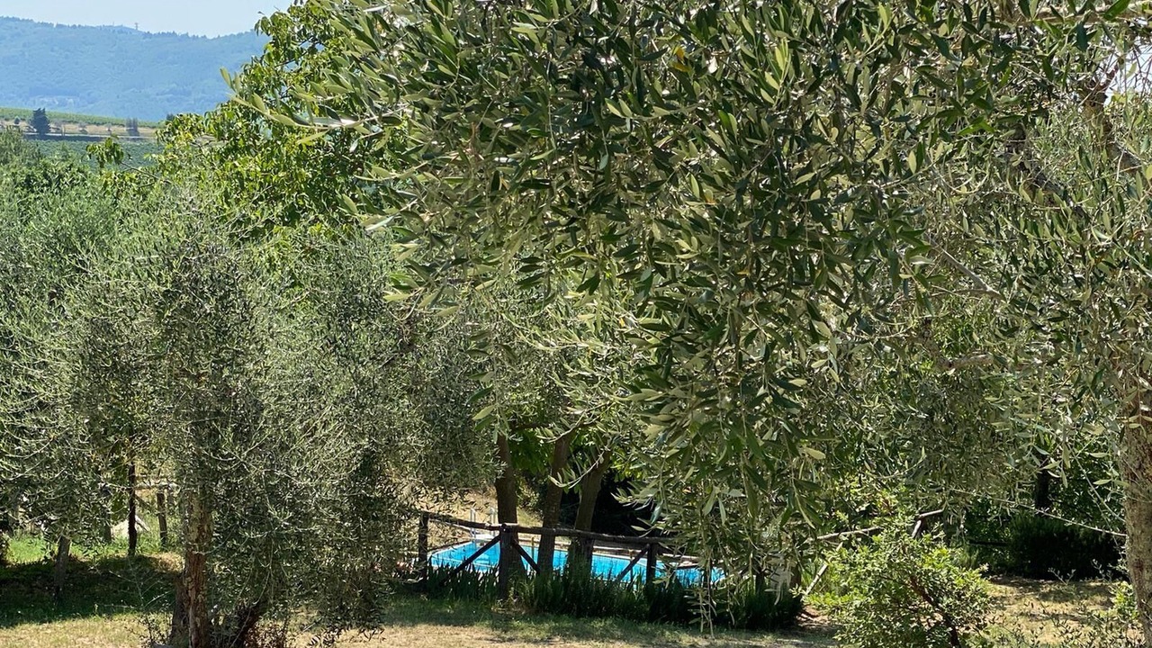 Photo of Outdoor in Pontassieve