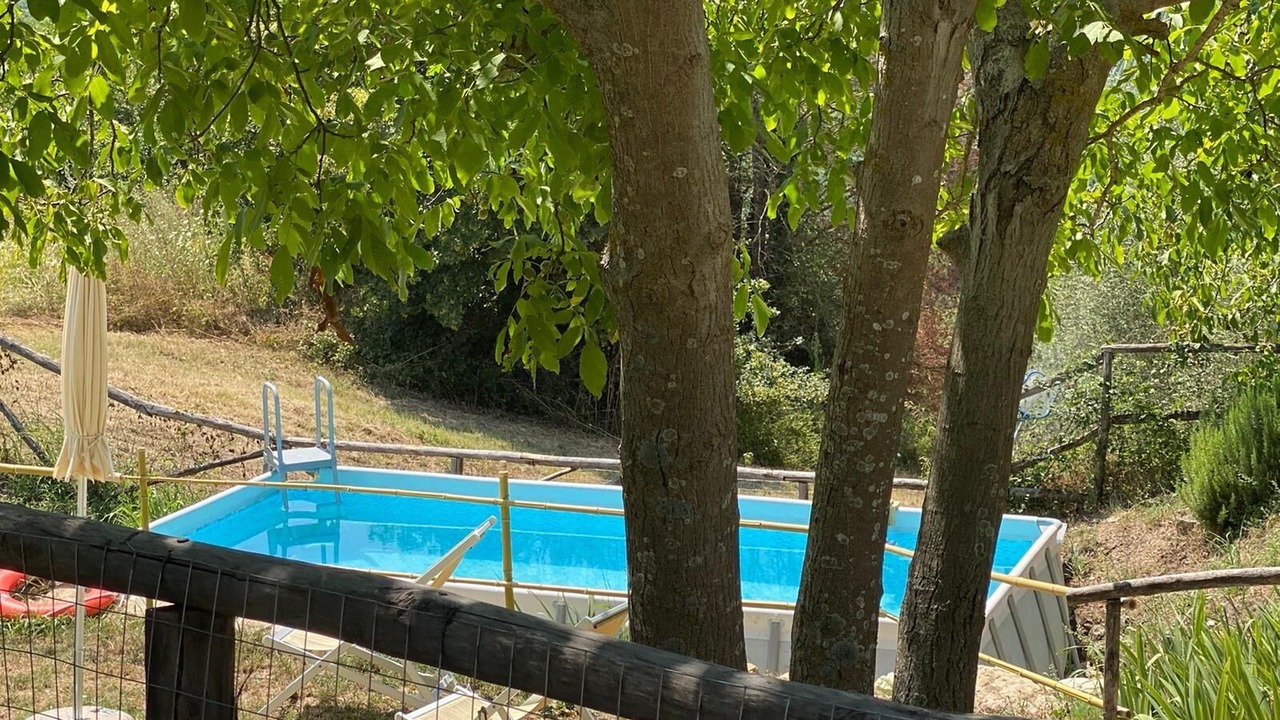 Photo of Outdoor in Pontassieve