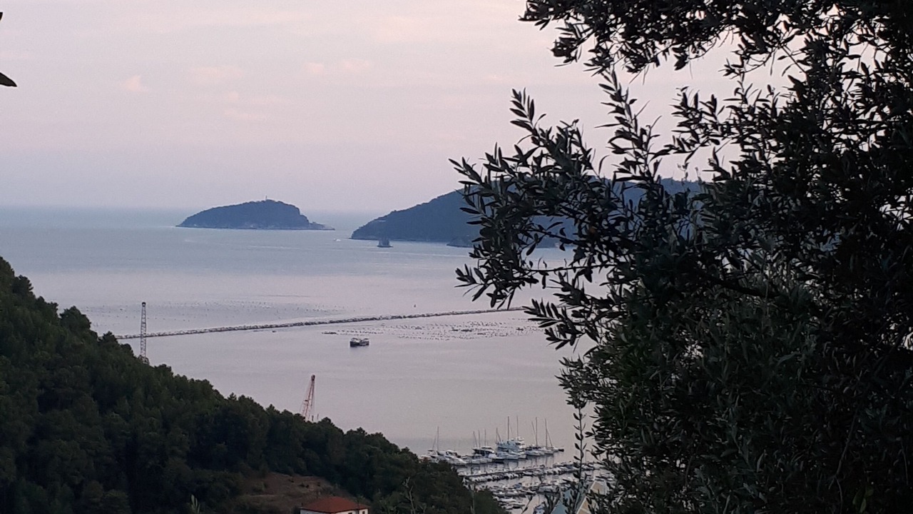 Photo of Outdoor in Pitelli