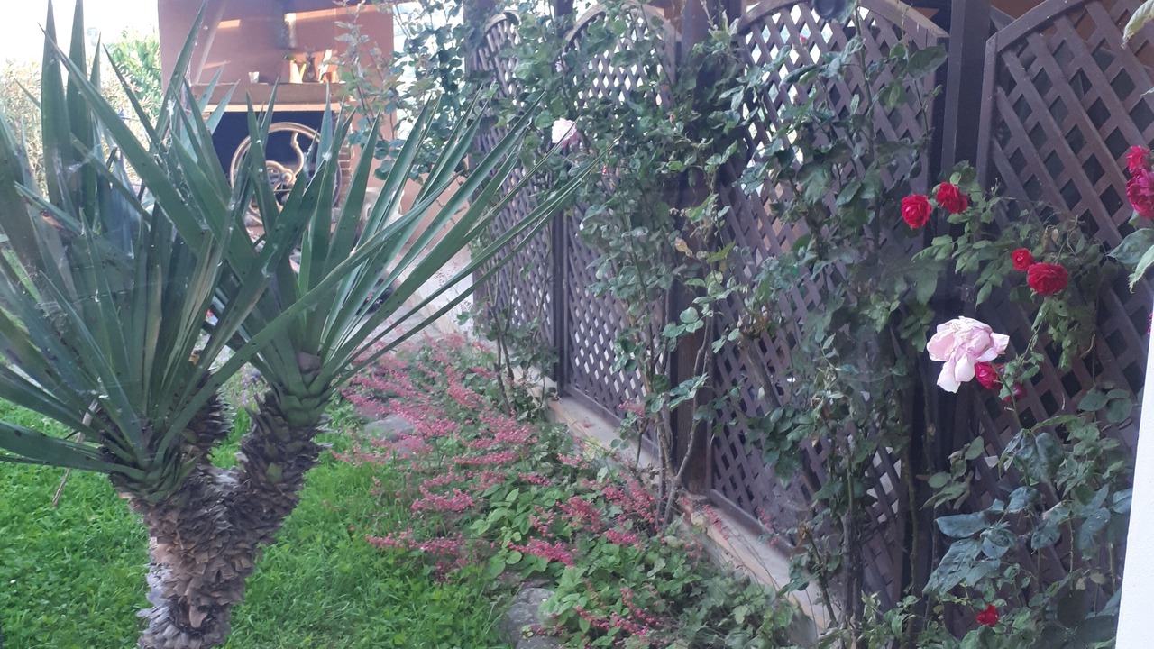 Photo of Outdoor in Agliano Terme