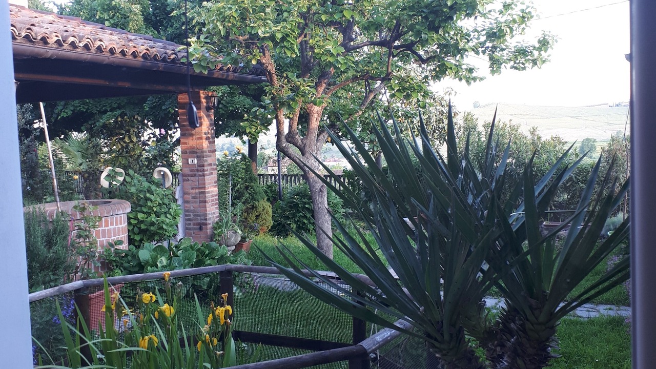 Photo of Outdoor in Agliano Terme