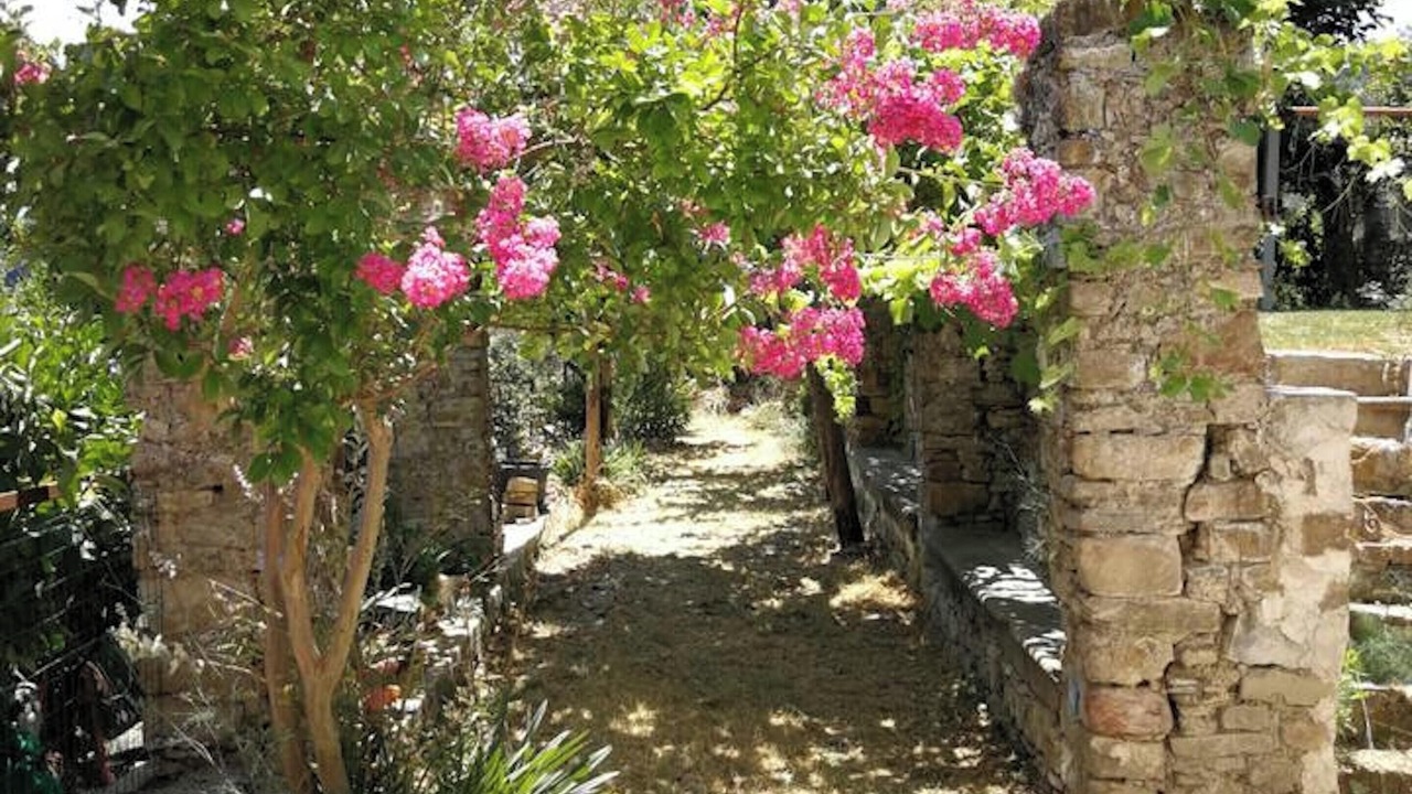 Photo of Outdoor in Ogliastro Cilento
