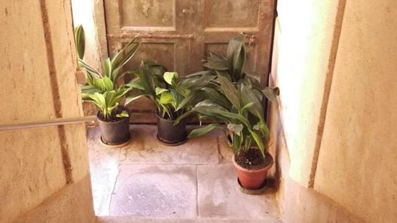 Photo of Others in Ogliastro Cilento