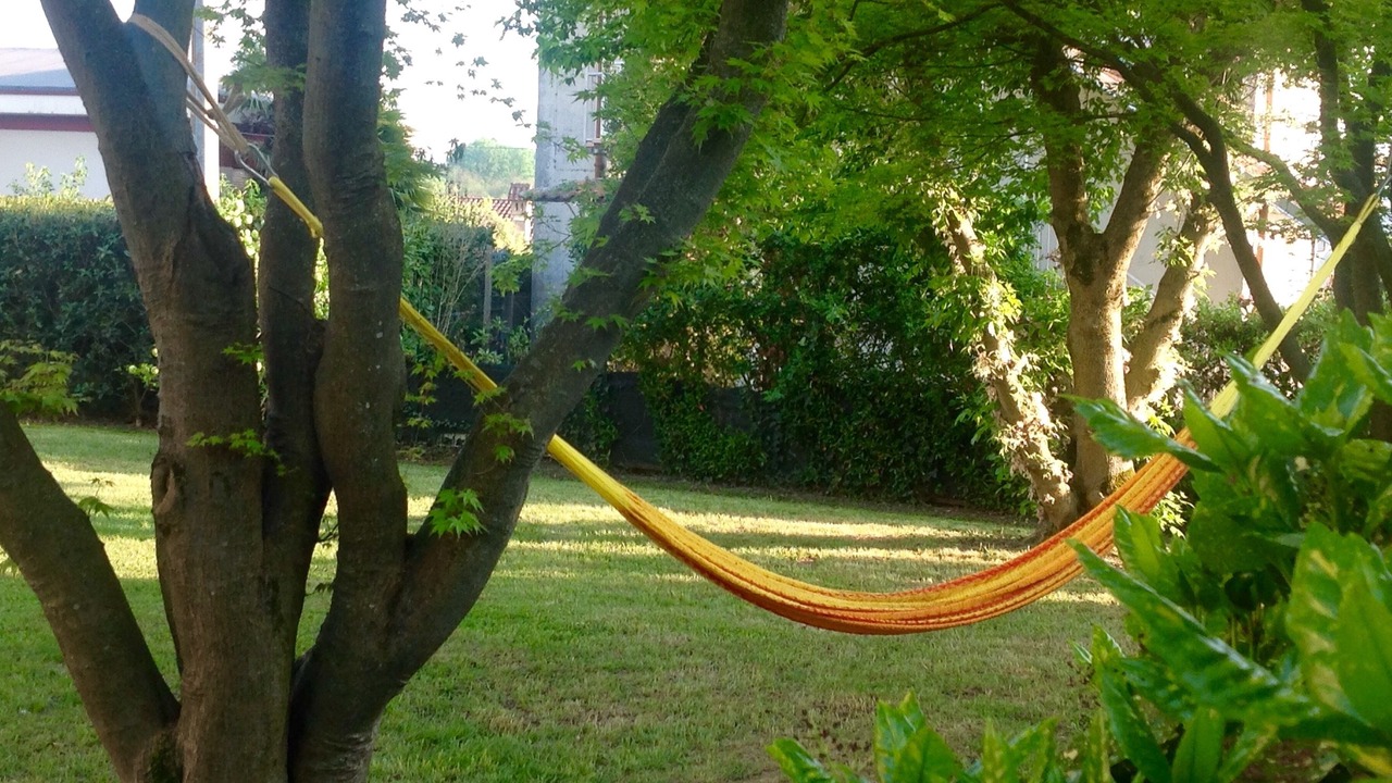 Photo of Outdoor in Anzasco