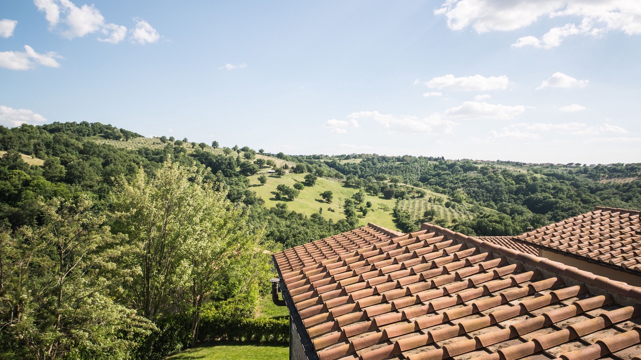 Photo of Others in Montorgiali
