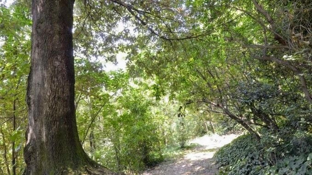 Photo of Outdoor in Serravalle Pistoiese