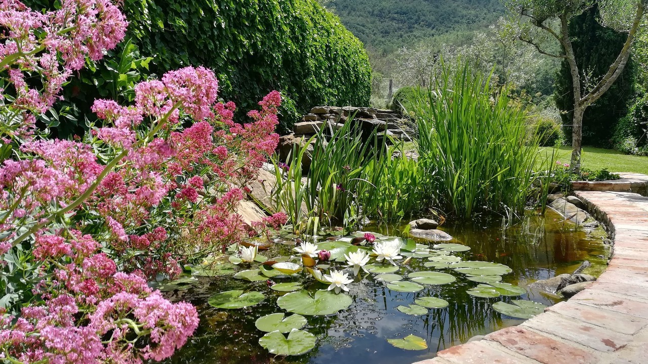 Photo of Outdoor in Cortona