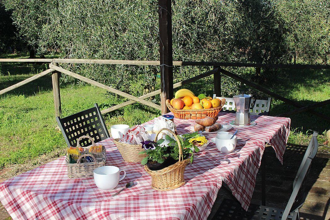 Photo of Outdoor in Colle di Val d'Elsa