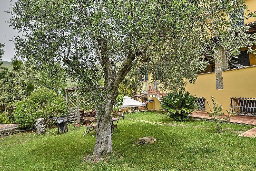 Photo of Outdoor in Alani
