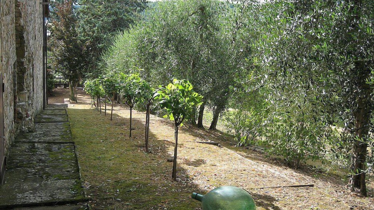 Photo of Outdoor in Castellina in Chianti