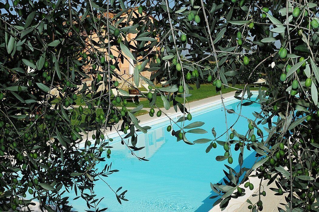 Photo of Outdoor in Castiglione del Lago