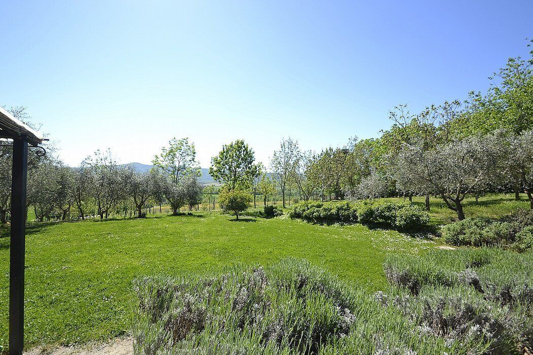 Photo of Outdoor in Castiglione del Lago