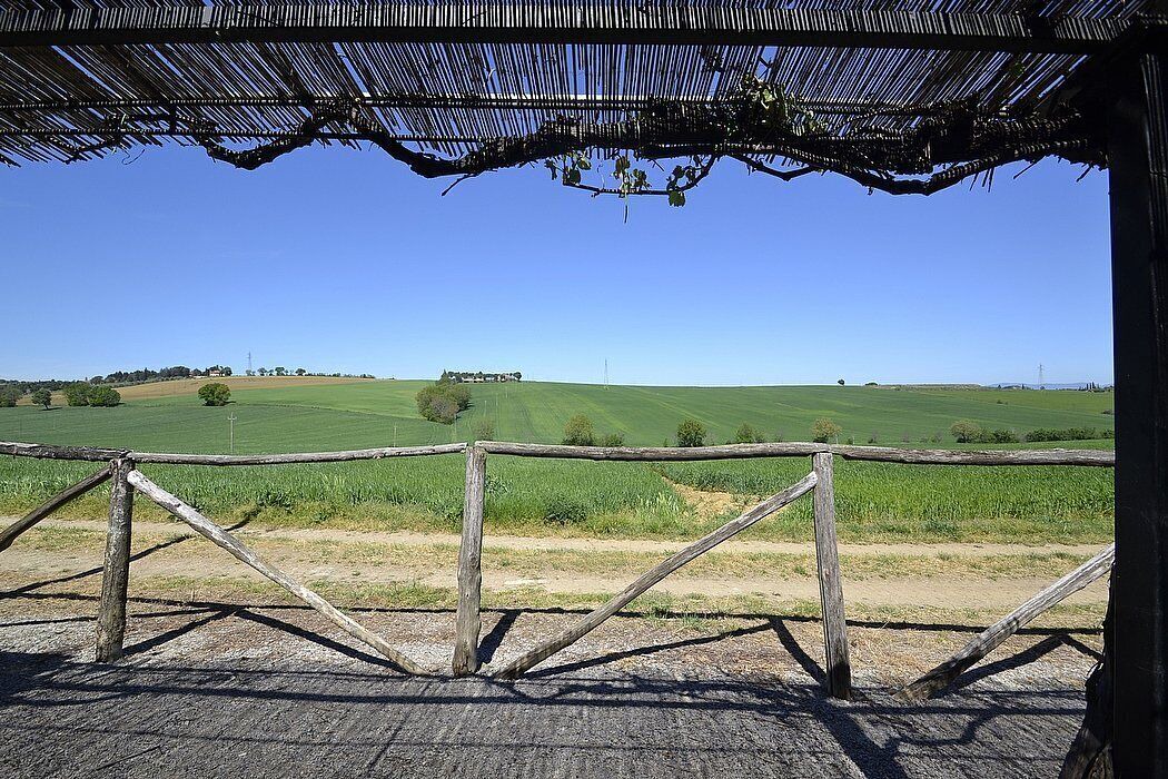 Photo of Outdoor in Castiglione del Lago