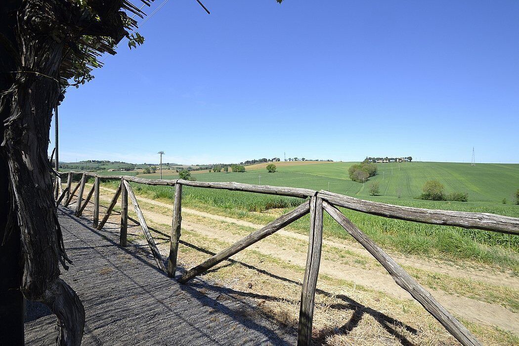 Photo of Others in Castiglione del Lago