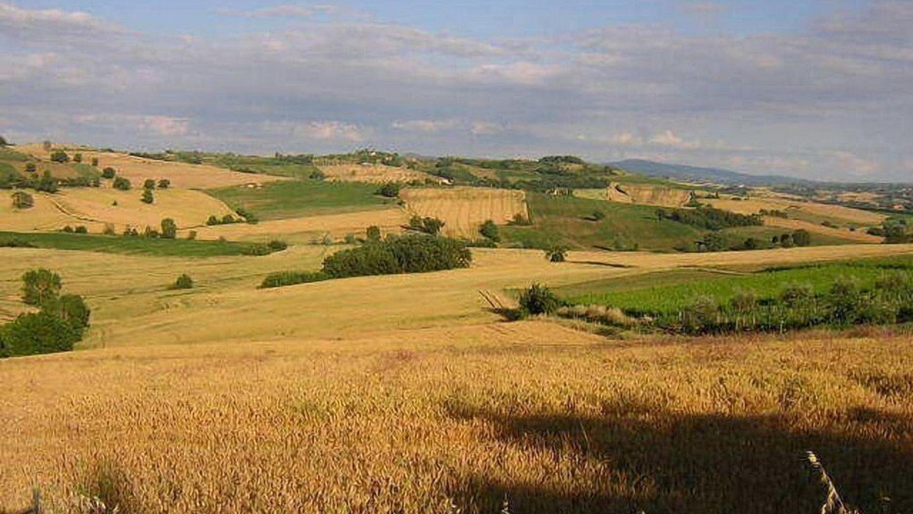 Photo of Others in Castiglione del Lago