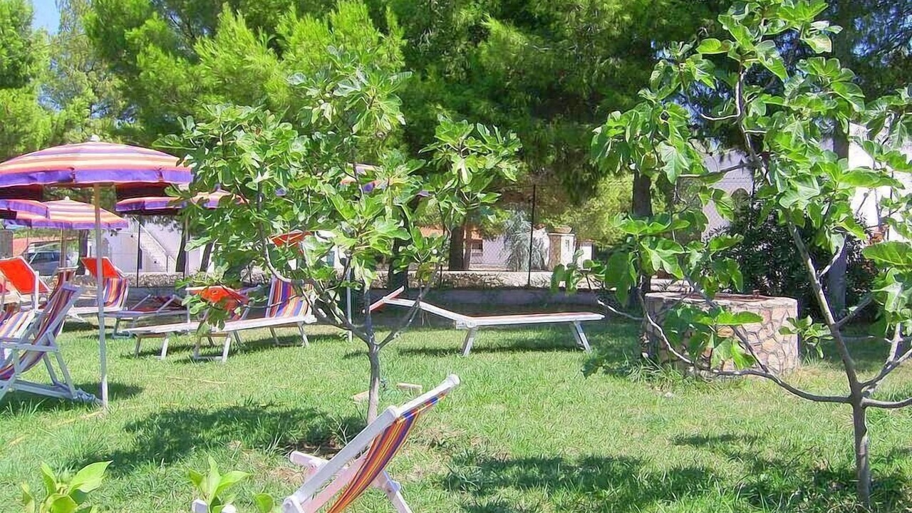 Photo of Outdoor in Defensola