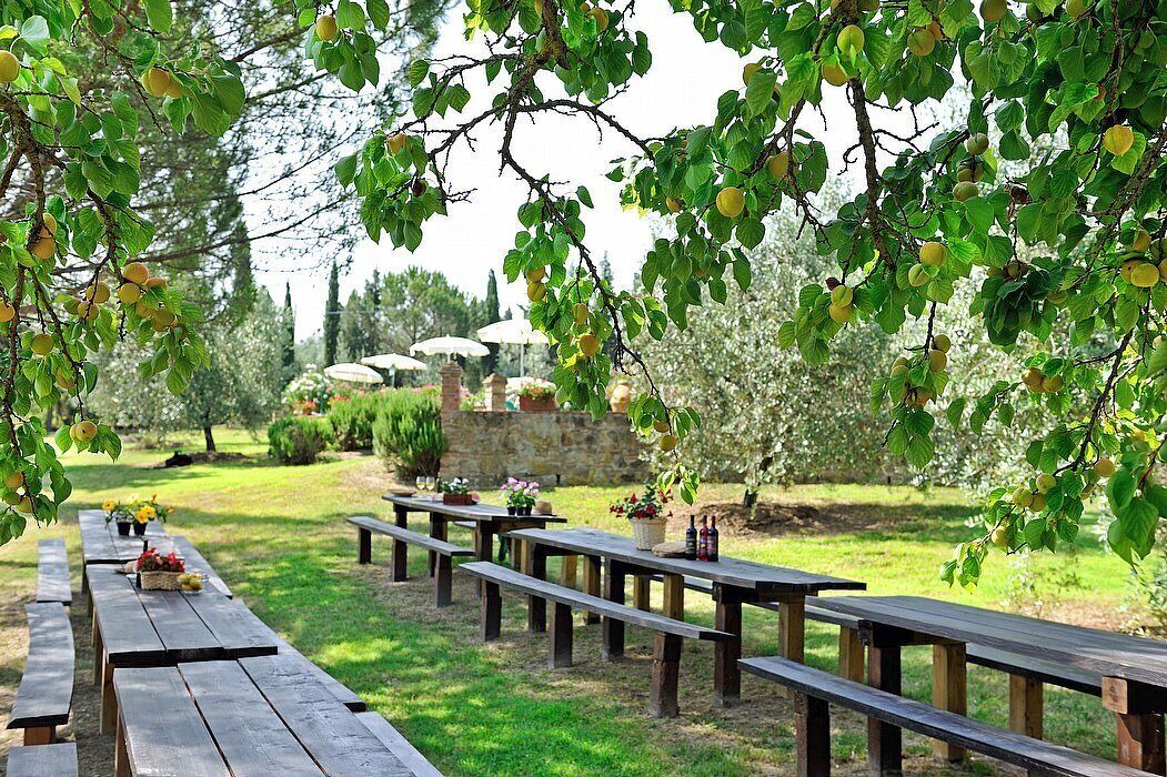 Photo of Outdoor in Peccioli