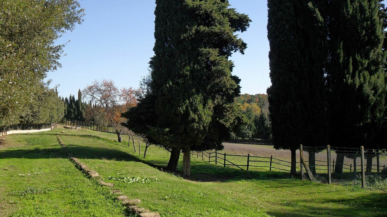 Photo of Outdoor in Gambassi Terme
