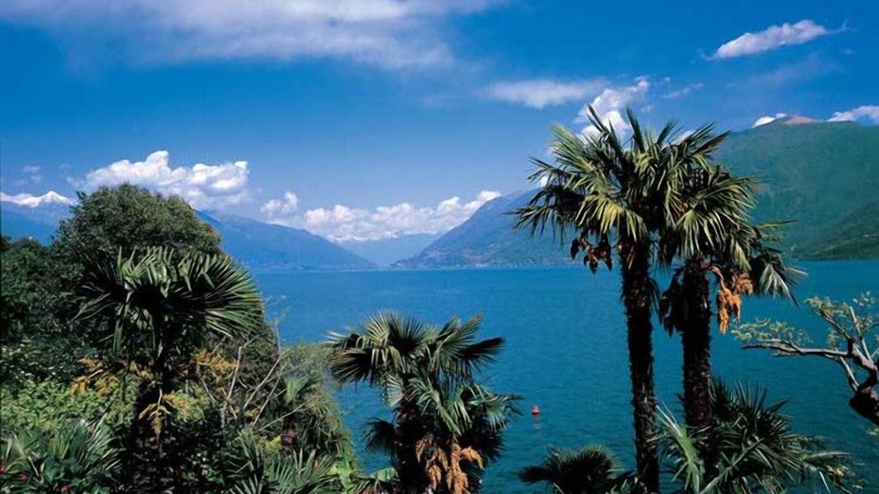 Photo of Others in Tronzano Lago Maggiore