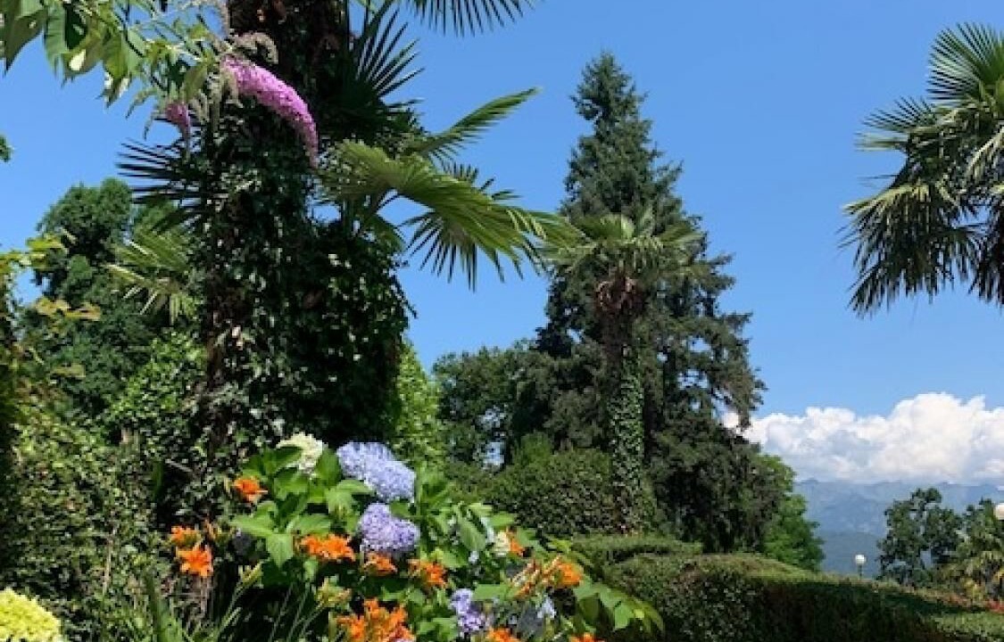 Photo of Outdoor in Carciano