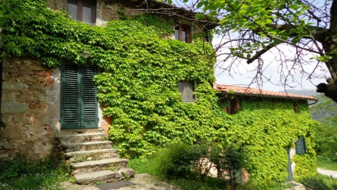 Photo of Outdoor in Pietrabuona