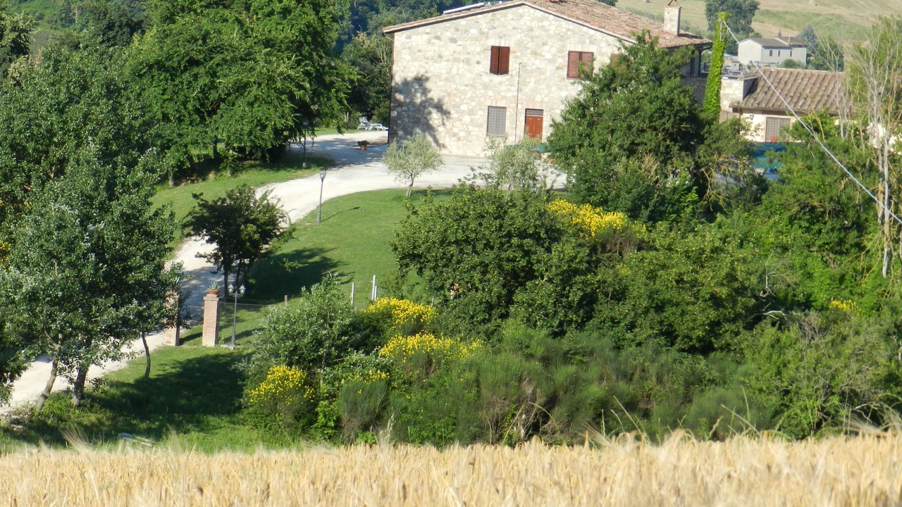 Photo of Outdoor in Loreto