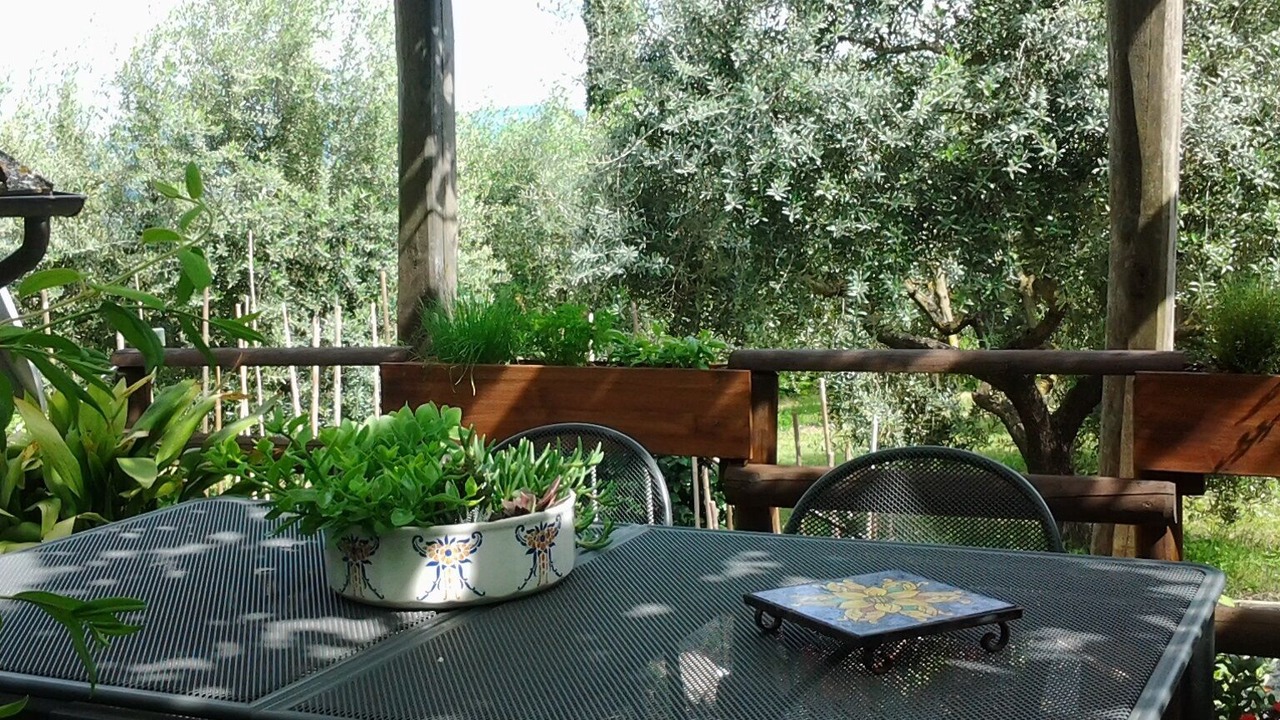 Photo of Outdoor in Fratta Todina