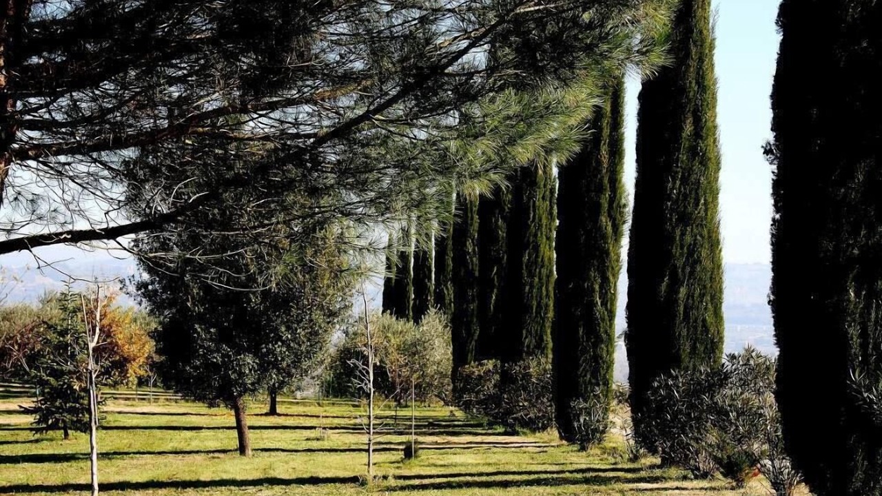 Photo of Outdoor in Fratta Todina