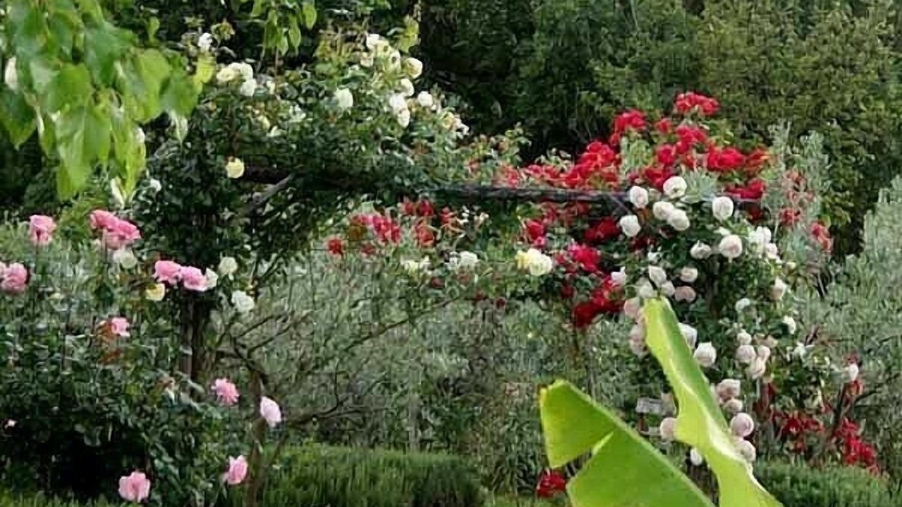 Photo of Outdoor in Fratta Todina