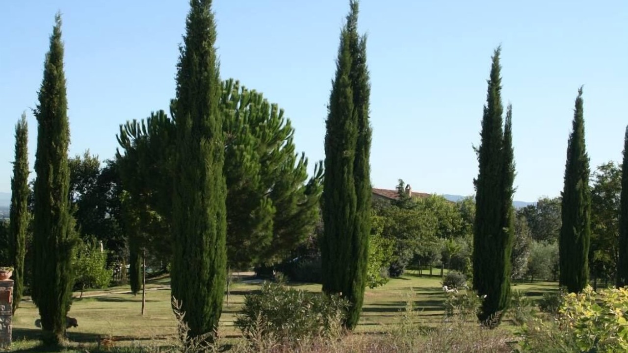 Photo of Outdoor in Fratta Todina