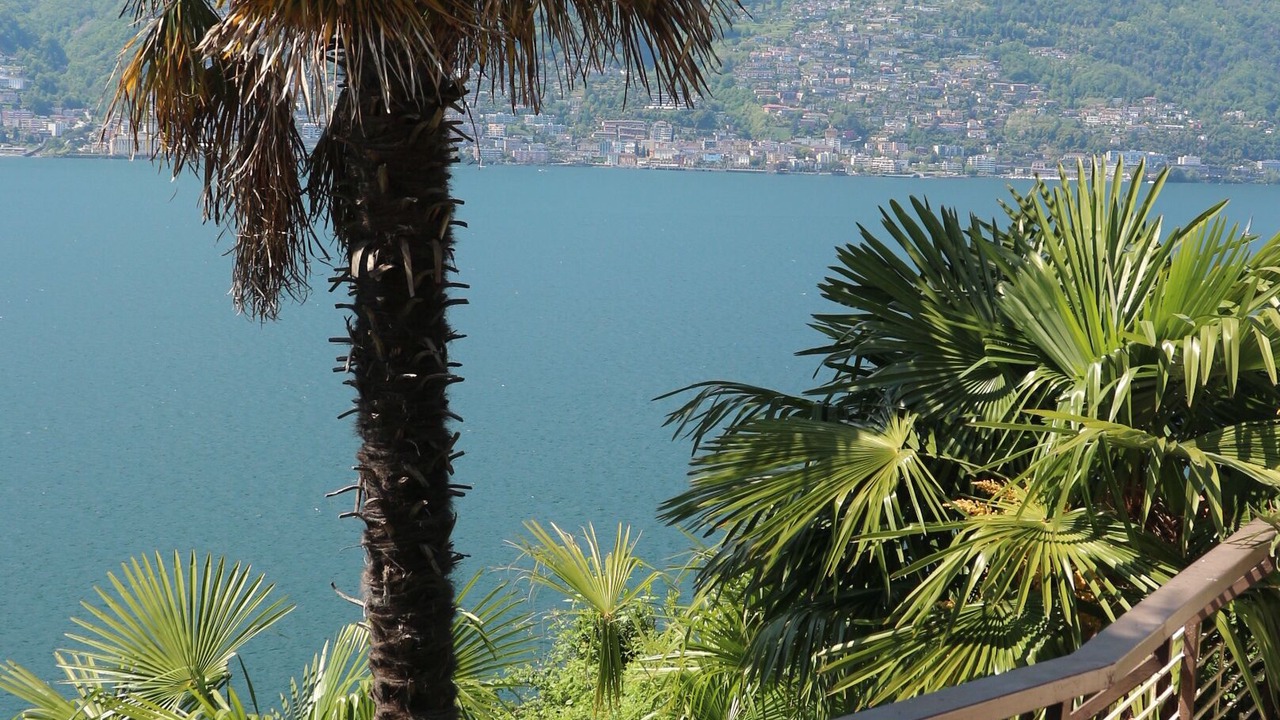 Photo of Outdoor in Pino Lago Maggiore
