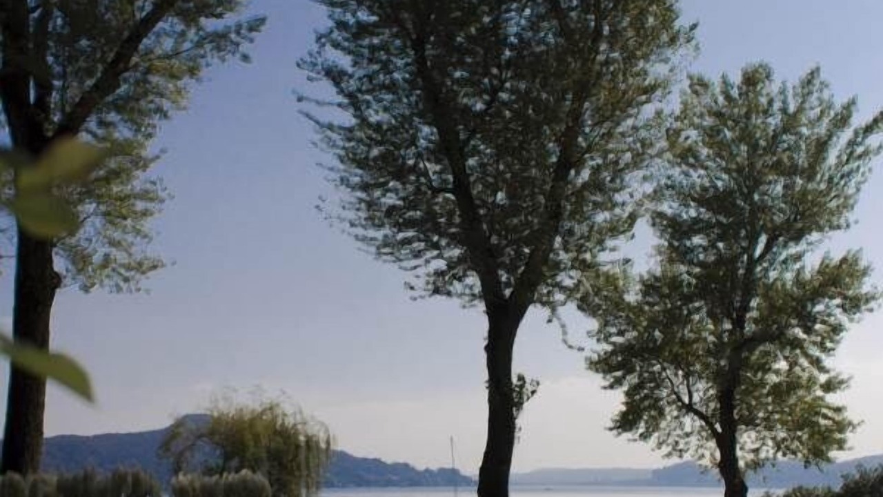 Photo of Outdoor in Lesa