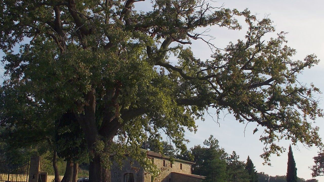 Photo of Outdoor in Pienza