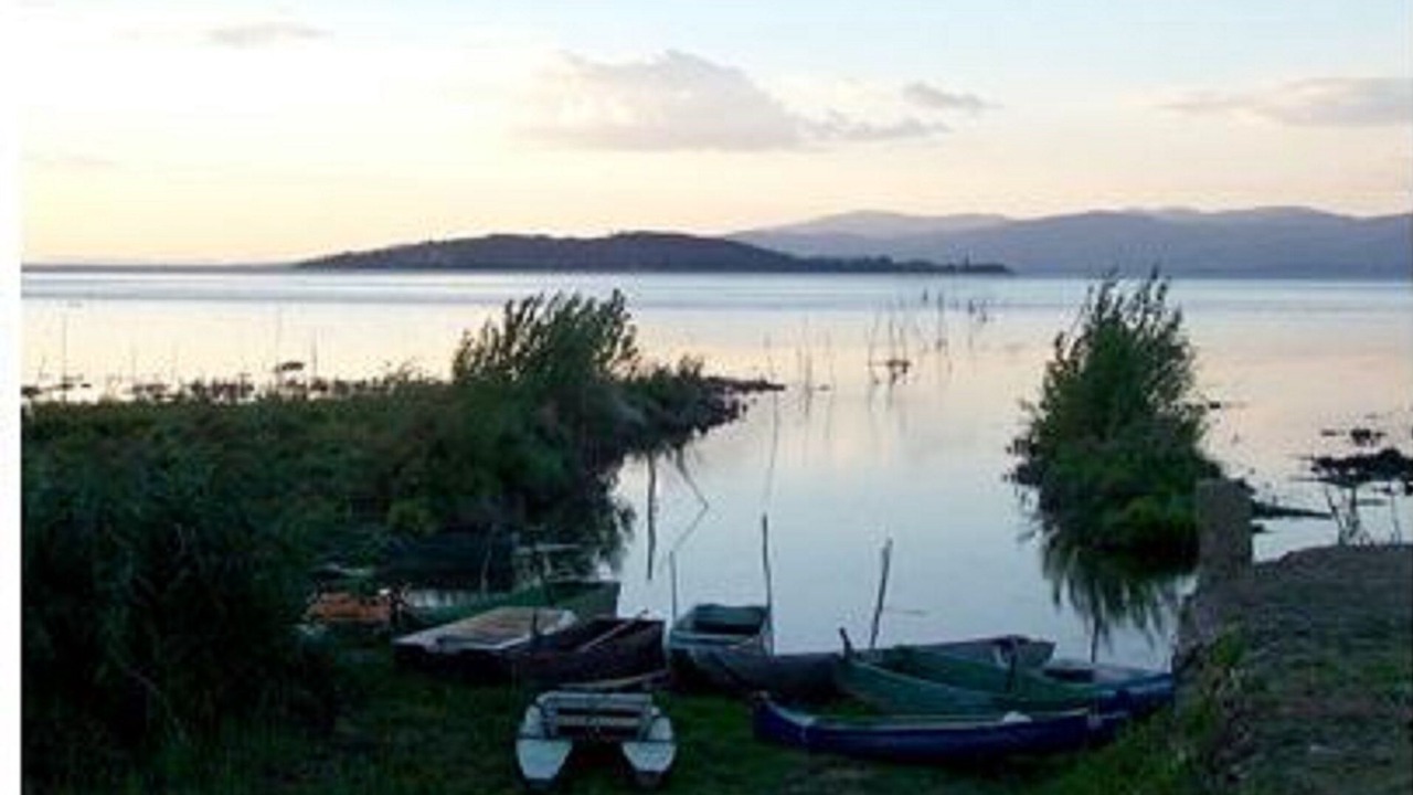 Photo of Others in Paciano