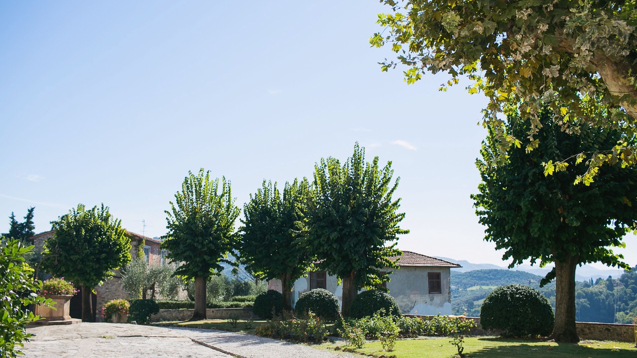 Photo of Outdoor in Stiava