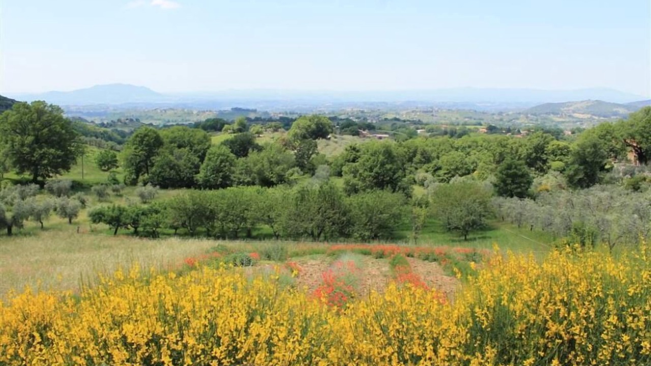 Photo of Others in Casperia