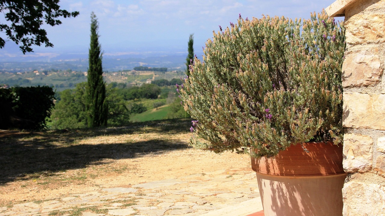 Photo of Outdoor in Casperia