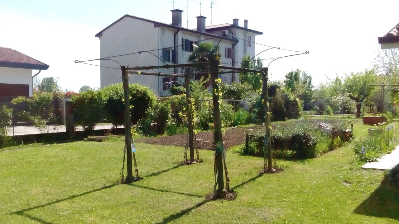 Photo of Outdoor in Noventa di Piave