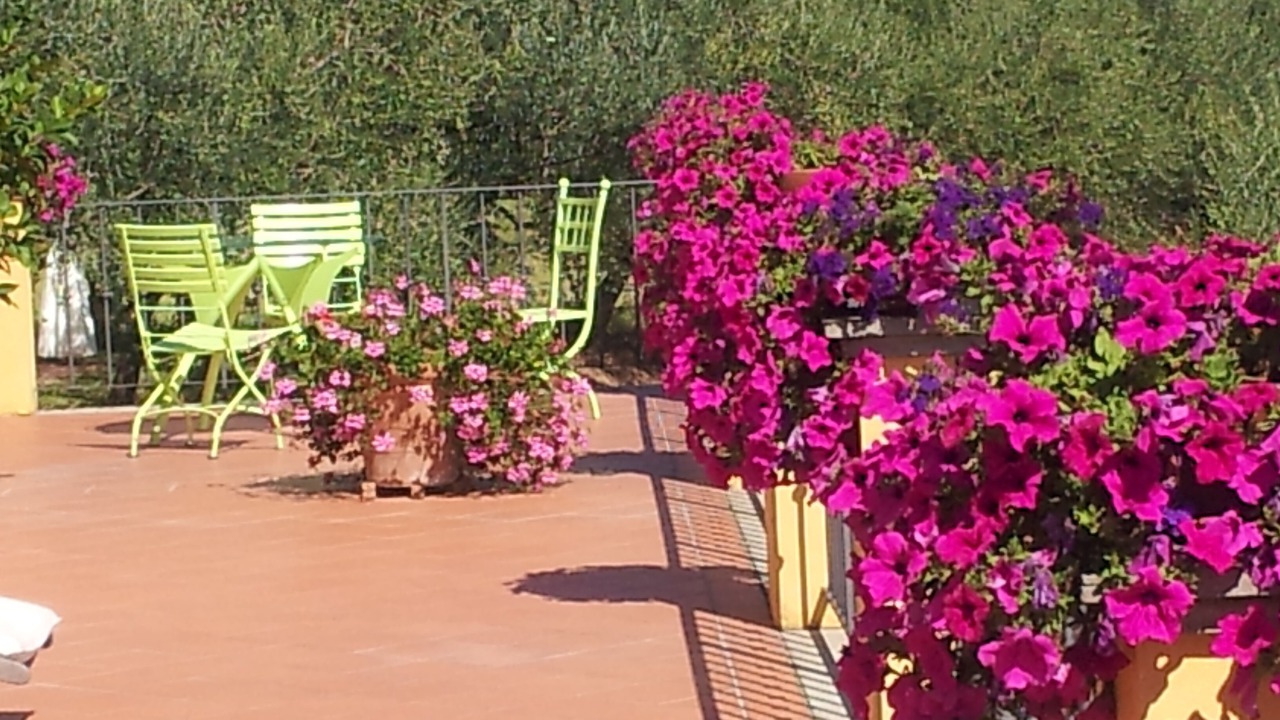 Photo of Patio Balcony in Collodi