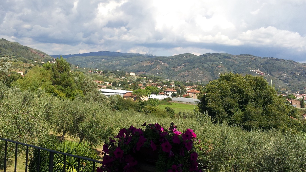 Photo of Outdoor in Collodi