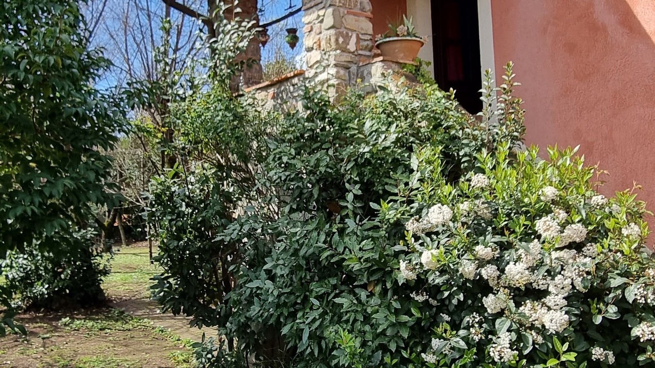 Photo of Outdoor in Borghetto-melara