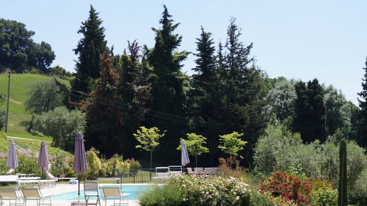 Photo of Outdoor in Barchi