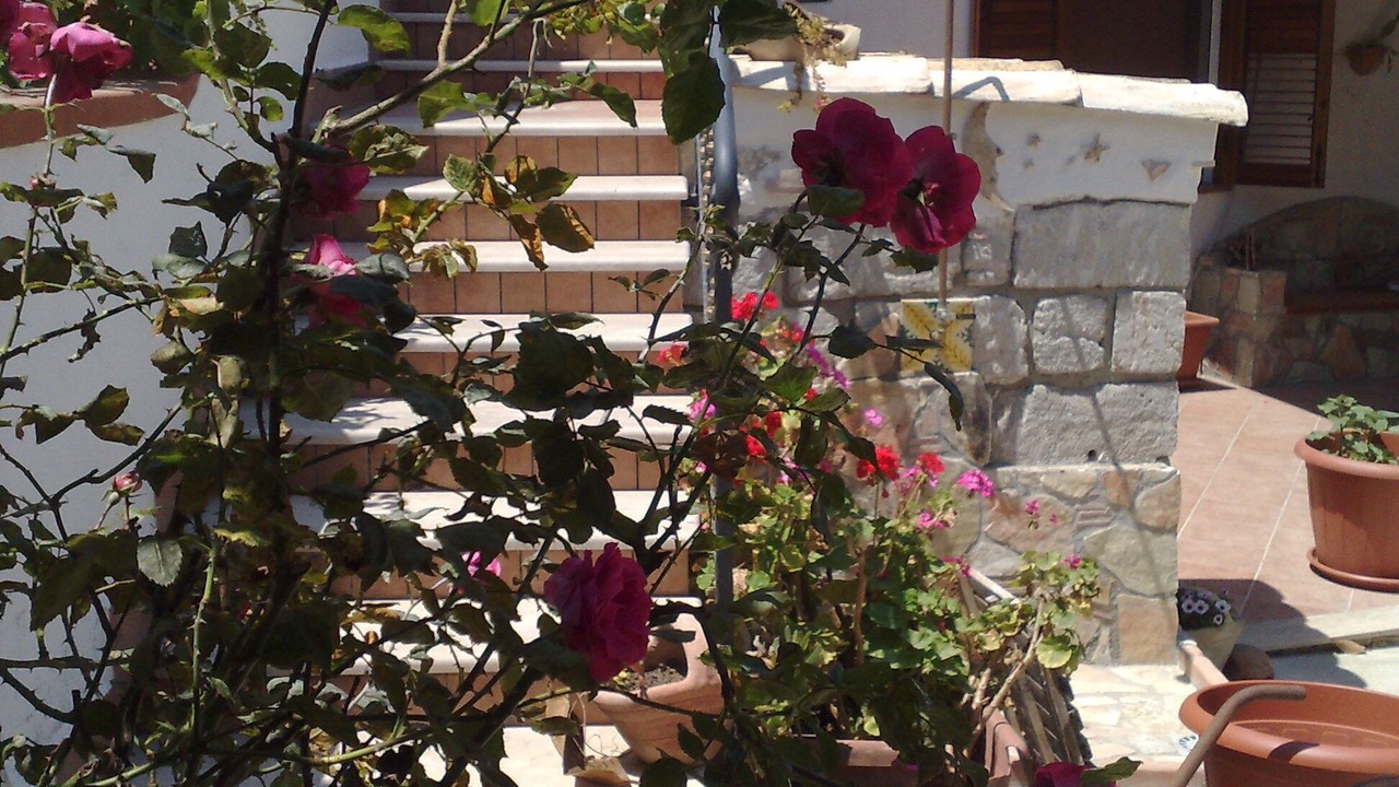 Photo of Outdoor in Capaci