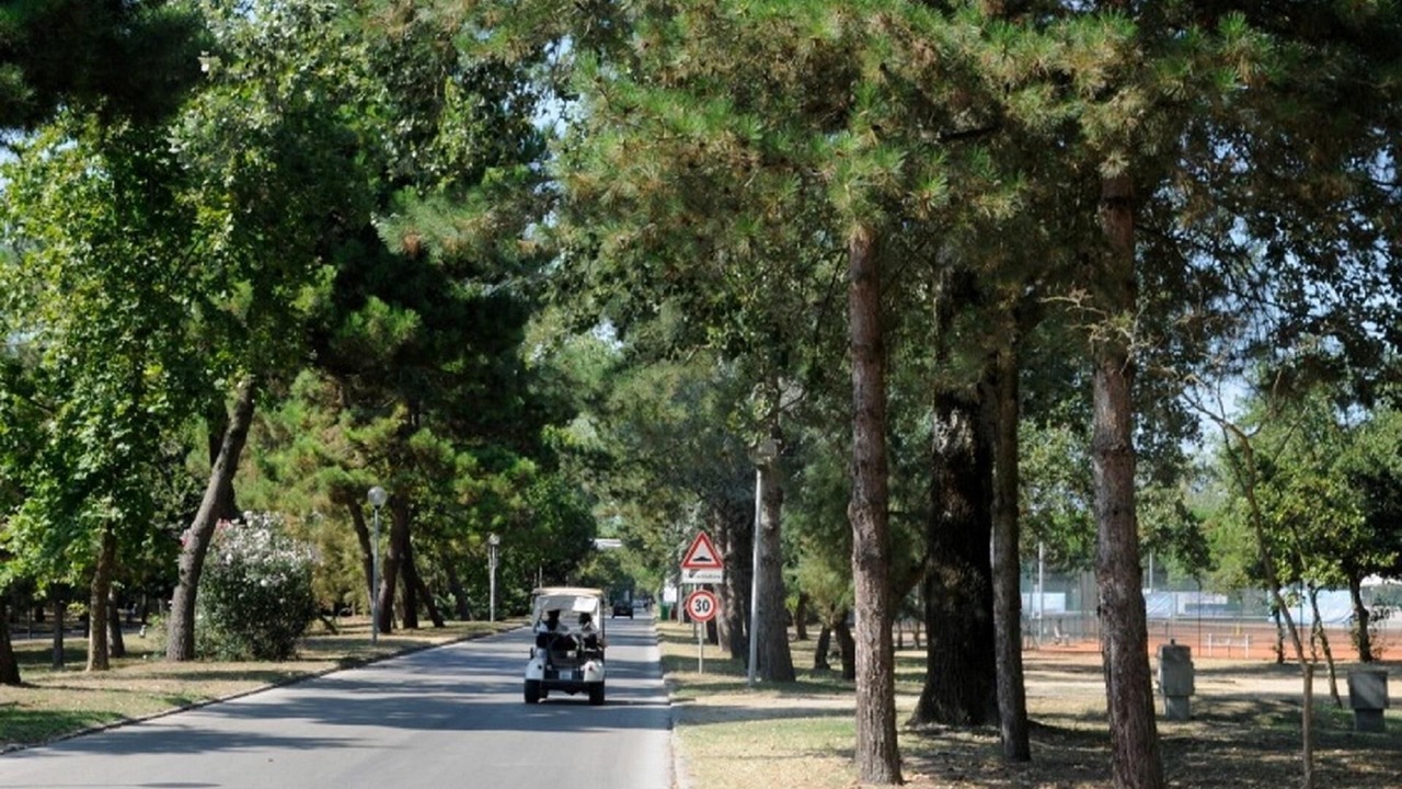 Photo of Outdoor in Rosolina